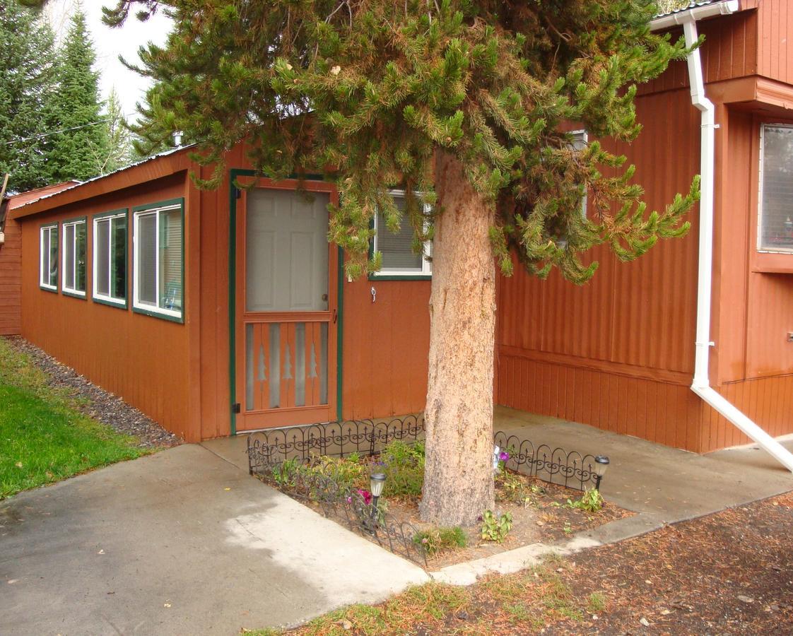 Yellowstone Wildlife Cabins 웨스트 엘로스톤 외부 사진