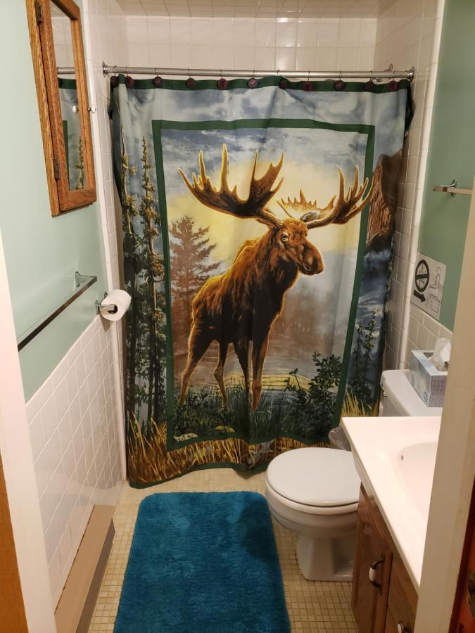 Yellowstone Wildlife Cabins 웨스트 엘로스톤 외부 사진